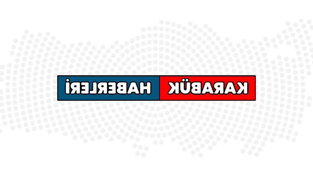 Karabük'te Ormanlık Alanda İki Ayı Görüntülendi